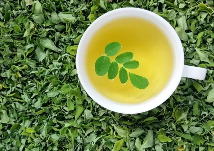 منقوع هذه العشبة يخلصك من حصوات الكلى وينظف الحالب من الأملاح المتراكمة وحرقان البول