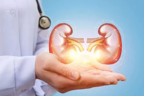 إليكم طرق الوقاية والعلاج من أمراض الكلى