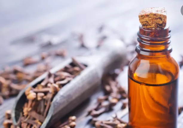 كوب منقوع القرنفل على الريق يعيد لك الفحولة والقوة والرغبة بدون اي منشطات