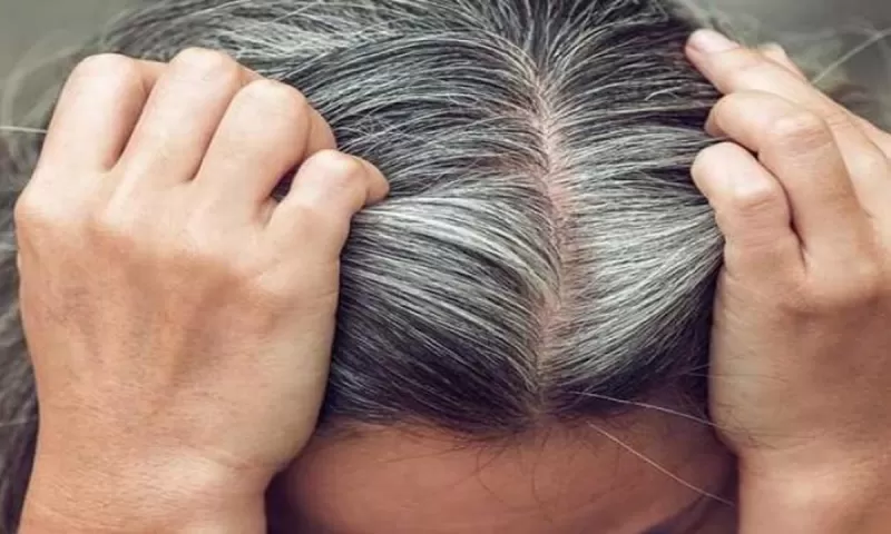 شاهد الوصفة السورية الرهيبة للتخلص من شـيب الشعر في خمس دقائق ومفعولها كالسحر