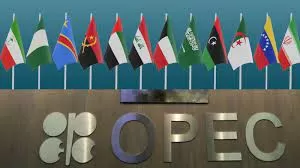 قرار إماراتي يسبب خسائر كبيرة للسعودية ومصادر خاصة تكشف كواليس الحرب الباردة