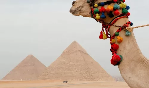 هبوط ارضي يهدد الهرم الأكبر .. تفاصيل