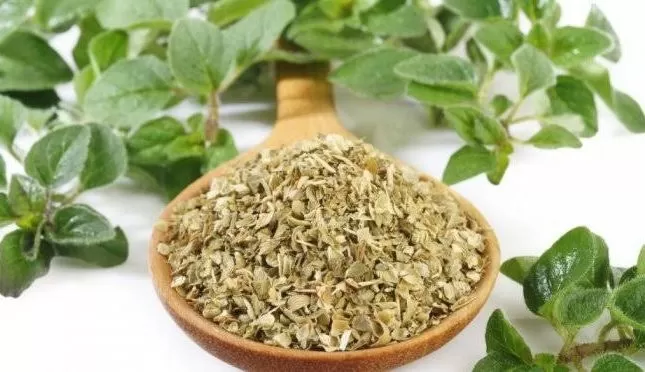 عشبة رخيصة الثمن تحمي الكبد وتقوي عضلة القلب وتخفض الكوليسترول الضار في الدم وتعالج الإسهال والإمساك ومشاكل القولون