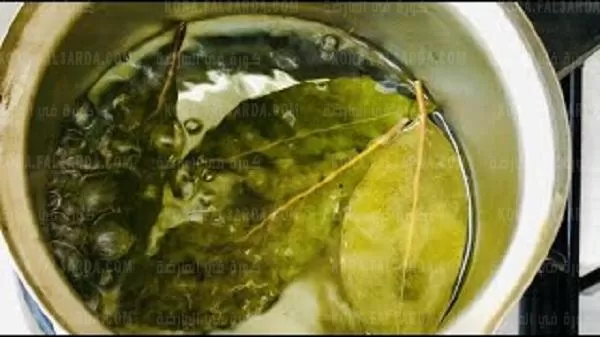 هذه العشبة هي العلاج الفعال لكل من يعاني من مشاكل القلب وضغط الدم المرتفع لا تهملها