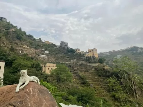 بالفيديو: شاهد كيف انتصر سعودي على القرود في فيفا