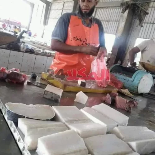 بالصور ولأول مرة في اليمن ، أسماك لحمها أبيض تباع في الأسواق والأنتربول الدولي يتدخل