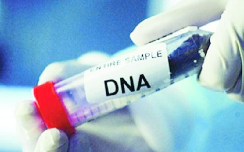 بعد نجاحه في عودة 3 مخطوفين لأسرهم.. كيف يكشف الـDNA لغز الجرائم؟
