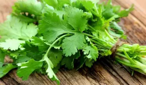 تعلى على هذا النبات العشبي السحري يحفز إنتاج الإنسولين ويخفض نسبة السكر في الدم بشكل مذهل وخيالي