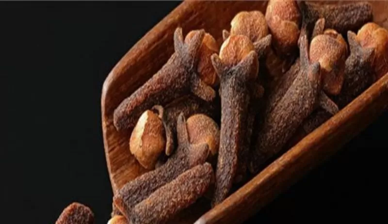 معجزة ربانية لن تكلفك سوى خمس حبات من مسامير القرنفل مع هذا المكون الطبيعي لتتغير حياتك للابد