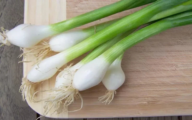 فوائد البصل الأخضر معجزة ربانية ستغير حياتك لن تتوقف عن تاوله خاصة بعد الصيام !