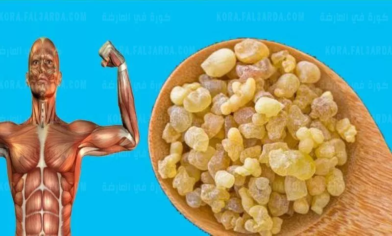 لبان الذكر يكون نقمة وقاتل حقيقي اذا استعملته بهذه الطريقة