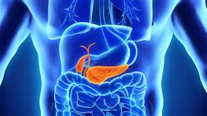 أعشاب رخيصة الثمن لها مفعول السحر في  تُنشيط عمل البنكرياس والكبد وتحفز إفراز الأنسولين وتكافح السكري وعلاج فعال وسحري ضد سرطان الهندباء (تعرف عليها الآن)