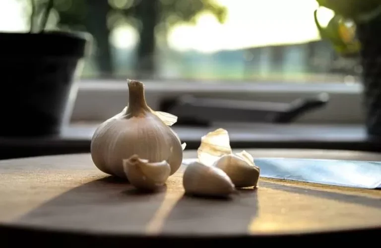 لن تصدق ما يفعله بك الثوم وكيف يجعلك جذاباً ومغرياً للنساء