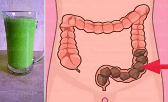 كوب على الريق من هذا المشروب الرهيب وقل وداعاً لمشاكل القولون سيطهر القولون من كل السموم المتراكمة والفضلات المتحجرة