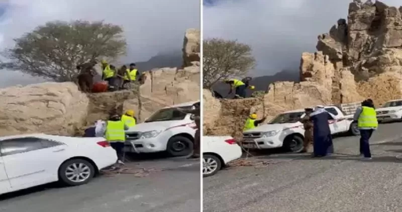 السعـودية تستفيق على فاجعة نمر يفترس مواطن بطريقة مرعبة.. شاهد الفيديو لحظة رفع جثته من “عقبة شعف بلقرن”