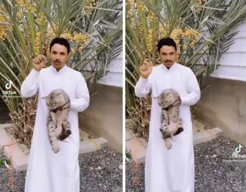 بالفيديو: كشف السر وراء اختفاء القطط في السعودية في اول ايام عيد الأضحى