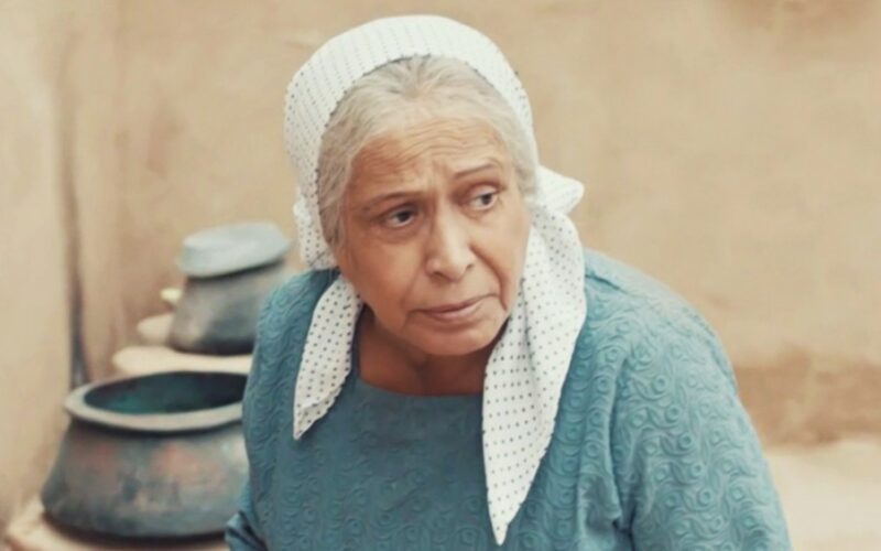 شاهد: خطأ كارثي جديد في مسلسل أم هارون.. والجمهور ينتقد حياة الفهد