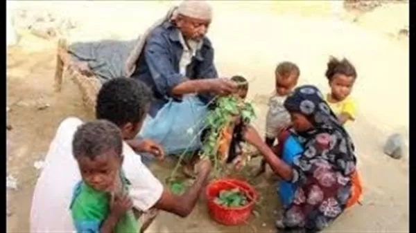 صدمة .. بسبب المجاعة في اليمن هذا ما تأكله الأسر اليمنية