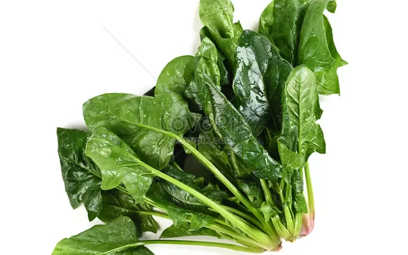 السبانخ صديق لمرضى القلب وهذا ما يفعله بالشرايين وعضلة القلب