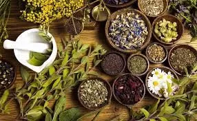 اقوي خلطة أعشاب للتنحيف السريع والحارقة للشحوم والقضاء على الكرش خلال أسبوع فقط