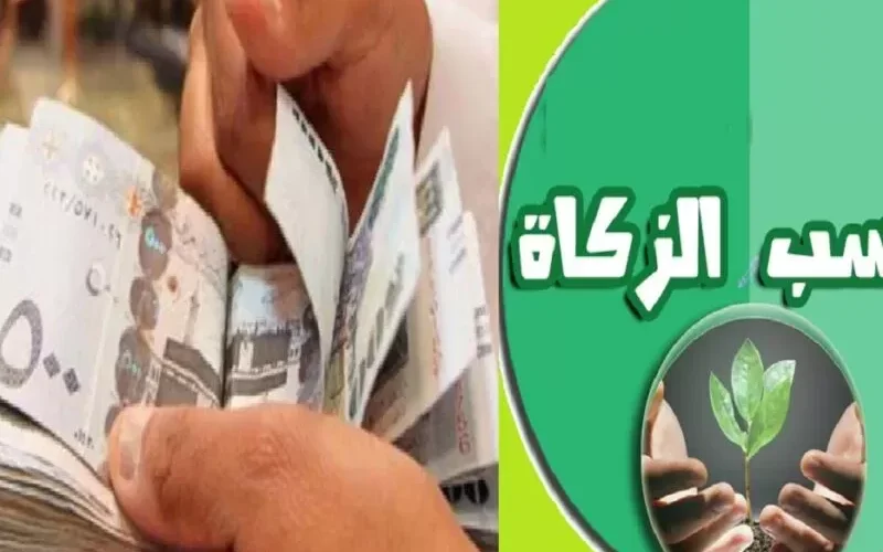 طريقة دفع زكاة الفطر عن طريق تطبيق الراجحي بالمملكة العربية السعودية ‏وكم سعر النصاب اليوم؟