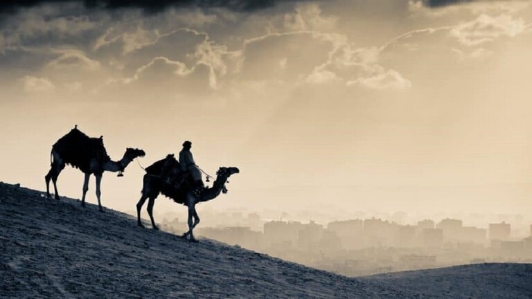 مالذي ينفرد به العرب في اجسادهم ولا يوجد لدى الغرب وتسبب في مفارقة الوفيات بسبب المرض العالمي الفتاك !