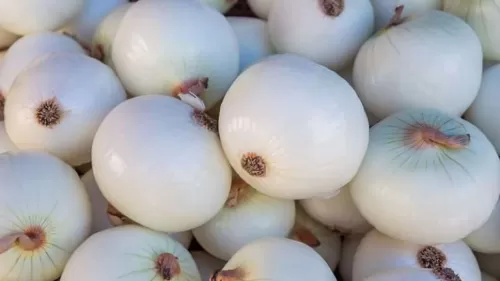 فوائد تدفعك لتناول البصل الأبيض.. منها منع التعرق