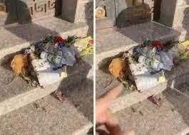 شاهد: سعودية توثق أفعال جارتها المنحرفة بالفيديو