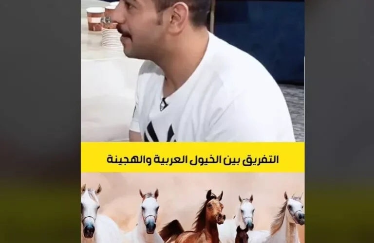 بالفيديو: هكذا يستطيع خبراء الخيول في السعودية التفريق بين الخيل الاصيلة والخيل الهجينة