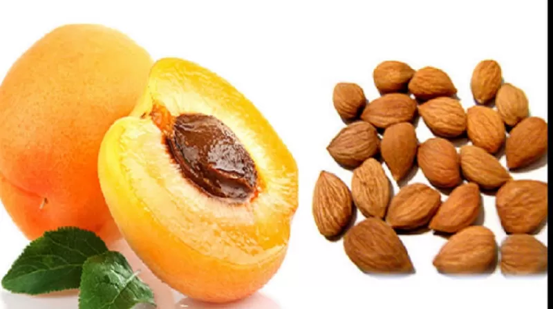 تحذير عاجل بعدم تناول بذور هذه الفواكه تسبب خطورة شديده في جسم الأنسان لأنه يُعتبر سم قاتل