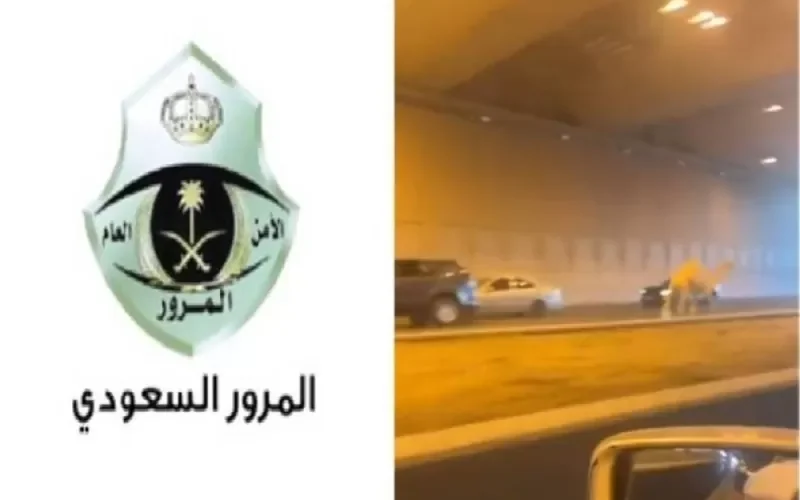 تطور هام في قصة هروب جمل من صاحبه على طريق خريص في الرياض