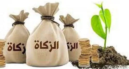 قيمة اخراج زكاة الفطر 2021 نقديا .. ومقدار بالكيلو الجرام