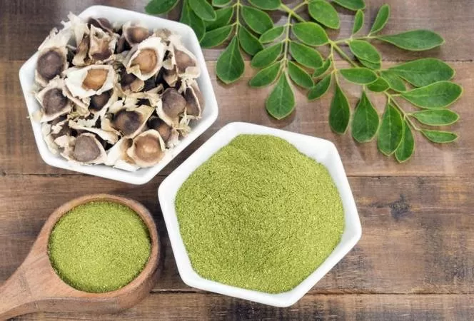 هذه الأعشاب هدية من الله تقوي المناعة ومضادة للفيروسات والبكتيريا والفطريات وتعالج الإنفلونزا وتخلص الدم من السموم.. تعرف عليها