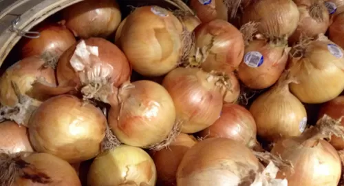 احذرو هذا النوع من الخضروات المستخدم في كل بيت لأنه ينقل الفطر الأسود