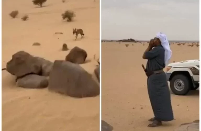 شاهد ماذا فعل ذئب بعد أن نادى عليه صاحبه في الصحراء