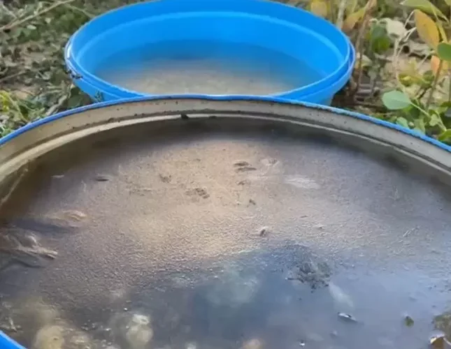 شاهد المياه تتجمد في شوارع المملكة بسبب موجة صقيع غير مسبوقة