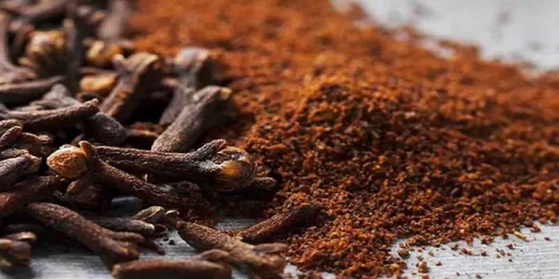 معجزة القرنفل للتخلص من شيب الشعر المبكر بدون رجوعة مرة أخرى