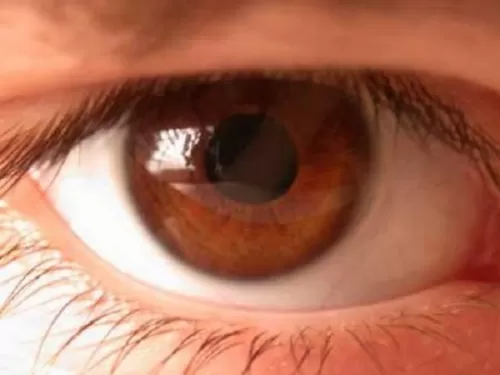 5 نصائح طبية تحافظ على سلامة عينك وتمنع الضعف البصري