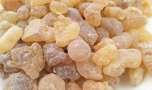 لن تصدق ما يفعله اللبان الذكر في جسمك عند تناوله بهذه الطريقة