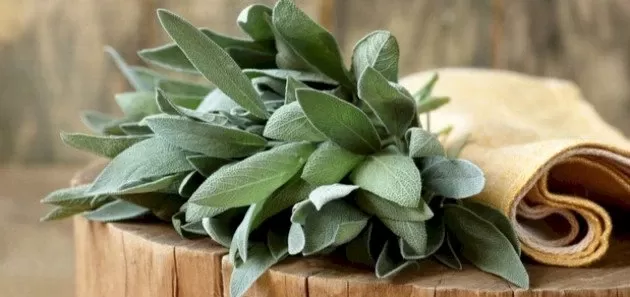 المشروب الخارق لحماية قلبك من امراض القلب الفتاكة ويعالج كل اضطرابات المعدة خلال دقائق فقط