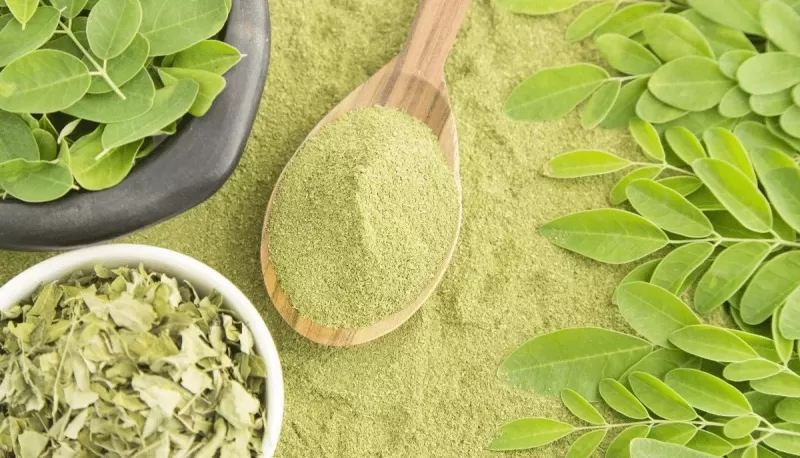 تنبت بكل الدول العربية .. الشجرة المعجزة تضبط سكر الدم وتخفض ضغط الدم وتعالج أكثر من 30 مرض .. تناولها بهذه الطريقة !