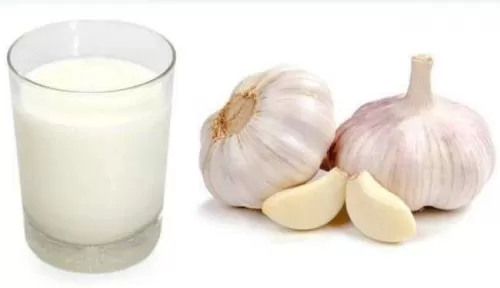 هذا ما يحدث لجسمك عند تناول الزبادي مع الثوم خاصة قبل النوم