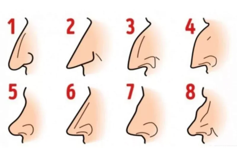 ما الذي تكشفه شكل أنفك من أسرار وسمات شخصيتك؟.. تفاصيل