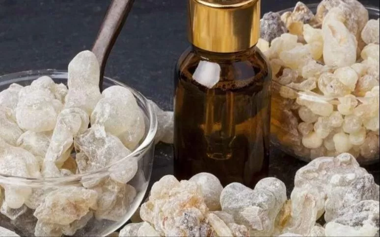 منقوع لبان الذكر الوصفة الرهيبة للرجال وقل وداعاً للفياجرا ومخاطرها