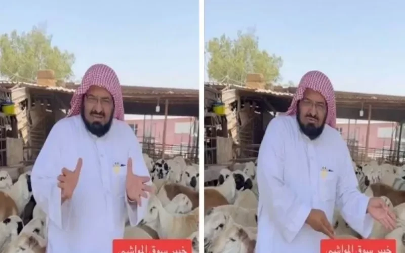 خبير مواشي سعودي يكشف سر عن بديل الخروف الحري في سوق جدة المركزي.. ومفاجأة بشأن سعره (فيديو)