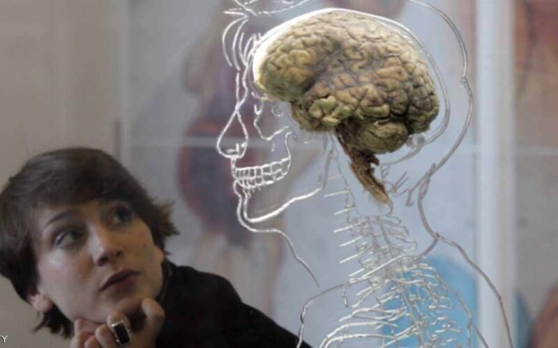 علماء يكشفون ما يحدث لدماغ الإنسان لحظة الاحتضار وبعد الموت