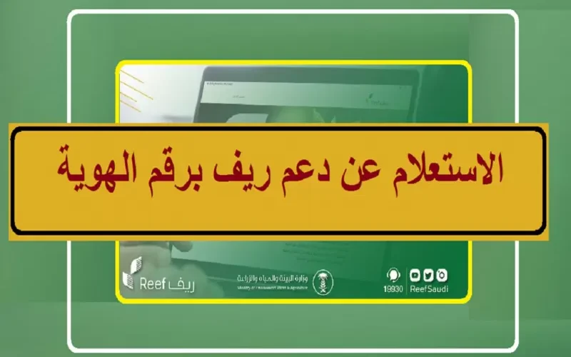 تحذير من 4 أسباب تؤدي لرفض دعم ريف لشهر مارس .