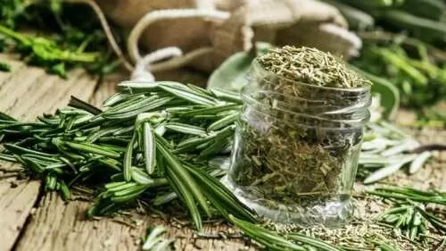 هذه الأعشاب تعالج بسرعة مشاكل ضيق التنفس