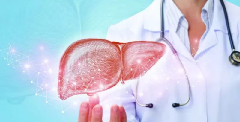 من ضمنها العنب 6 أطعمة خارقة تعزز صحة الكبد