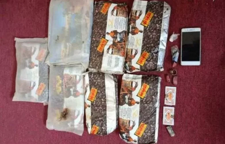 ضبط كمية من الحشيش بحوزة رجل ومسنة في أبين